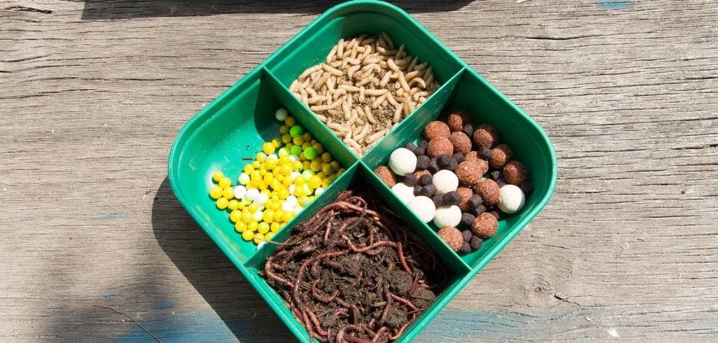 Best Barbel Baits