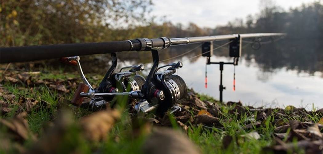 best carp fishing setup for beginners