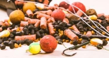 the best baits for carp fishing