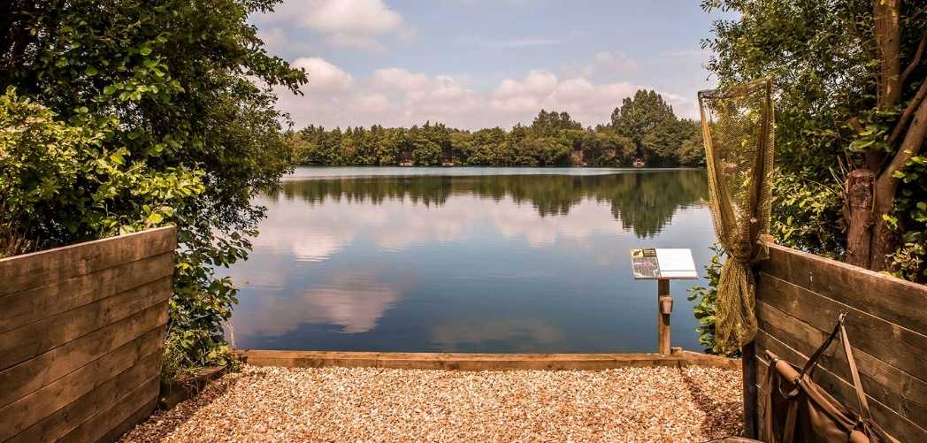 best carp fishing holidays UK - Nuddock Wood best carp fishing holidays UK - Nuddock Wood