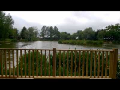 best uk fishing holidays - olivemead lake best uk fishing holidays - olivemead lake