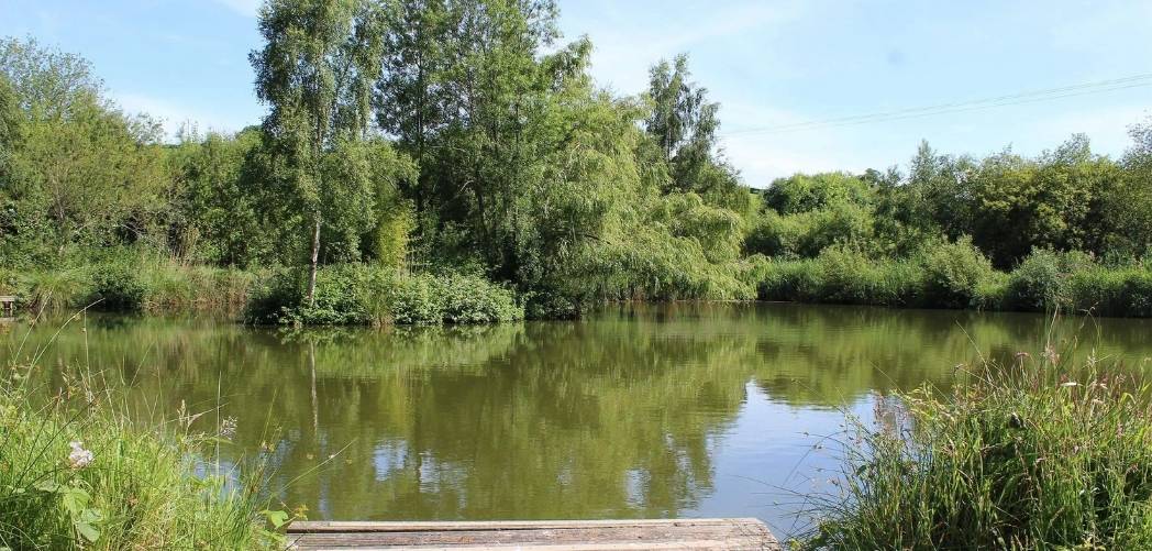 Best Pet Friendly Log Cabins with Fishing 