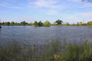 50lb carp lake uk