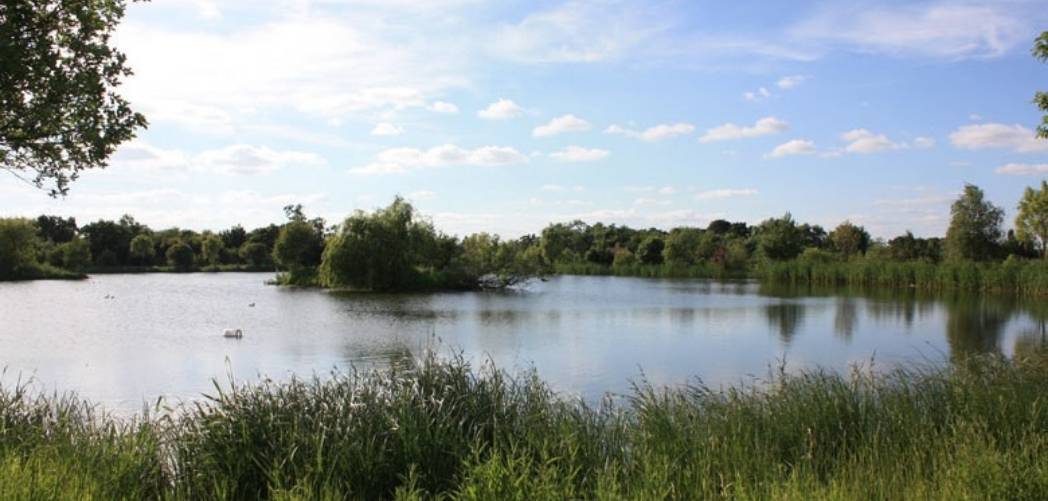 50lb carp lake uk