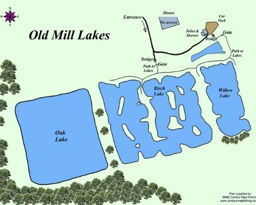 Uk carp lakes with 50lb fish in