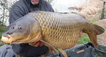 50lb carp lakes UK
