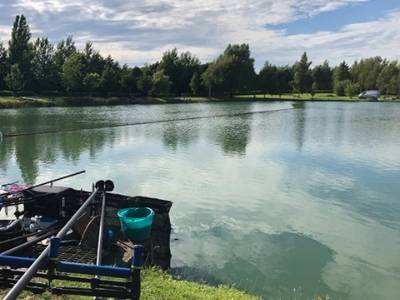 Pet Friendly Log Cabins with Fishing 