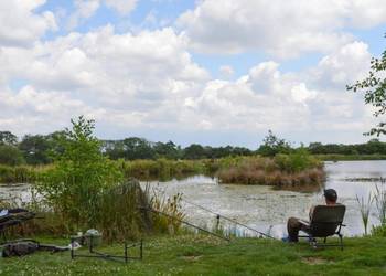 50lb uk carp lakes