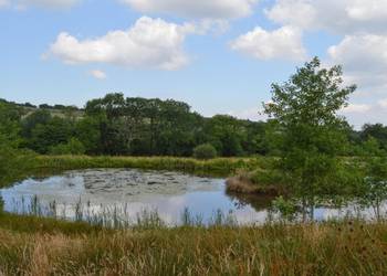 best 50lb carp lakes UK