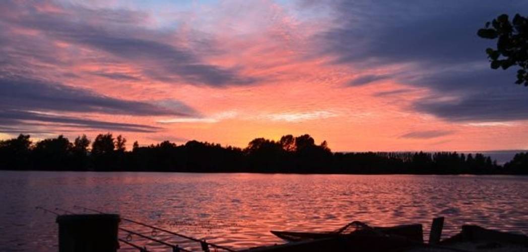 best 50lb carp lakes oxlease