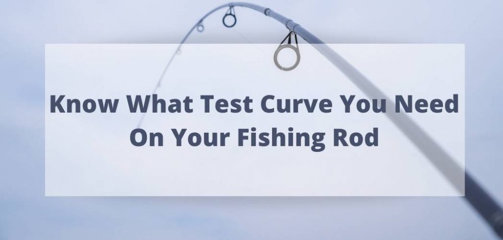 fishing rod test curve calculator